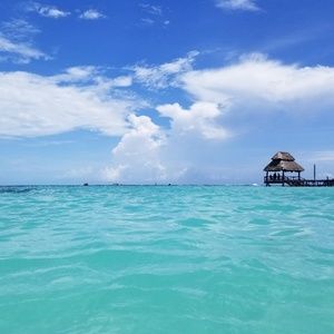 Meet your Posher, Tara